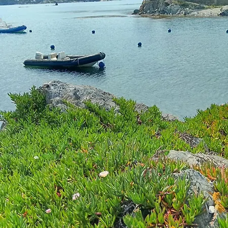 Isla Privada En De Ensueno Con 11 Dobles Con Bano Privado Y Piscina * Cadaques
