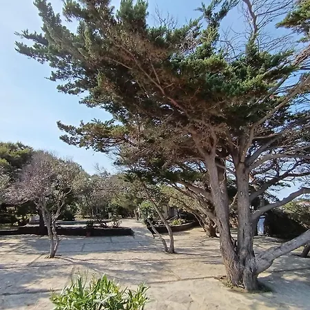 Isla Privada En De Ensueno Con 11 Dobles Con Bano Privado Y Piscina *