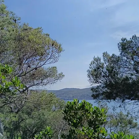 Isla Privada En De Ensueno Con 11 Dobles Con Bano Privado Y Piscina Villa