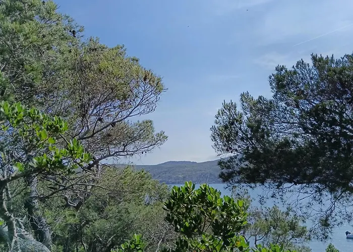 Isla Privada En De Ensueno Con 11 Dobles Con Bano Privado Y Piscina Villa Cadaqués